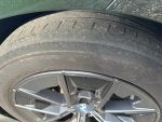 IMG_6678.jpeg